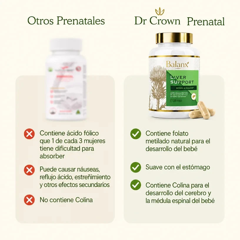 Liver Support | Menos pesadez, mejor digestión