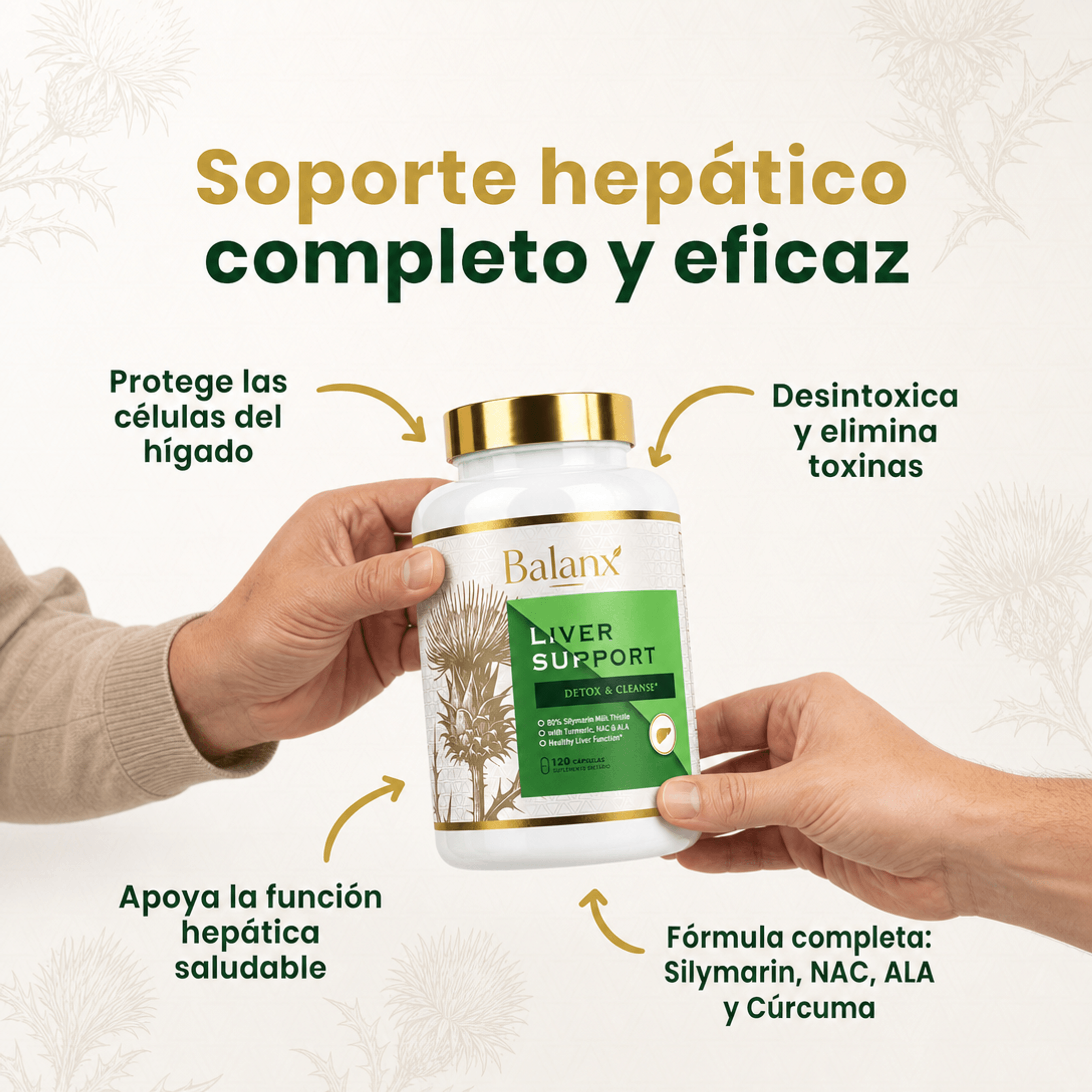 Liver Support | Menos pesadez, mejor digestión